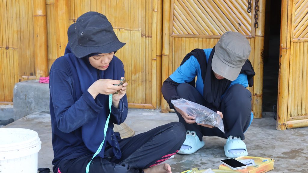 Mahasiswa Unhas Terlibat dalam Program Rehabilitasi Mangrove dan Ketahanan Pangan Pesisir bersama Blue Forests 5