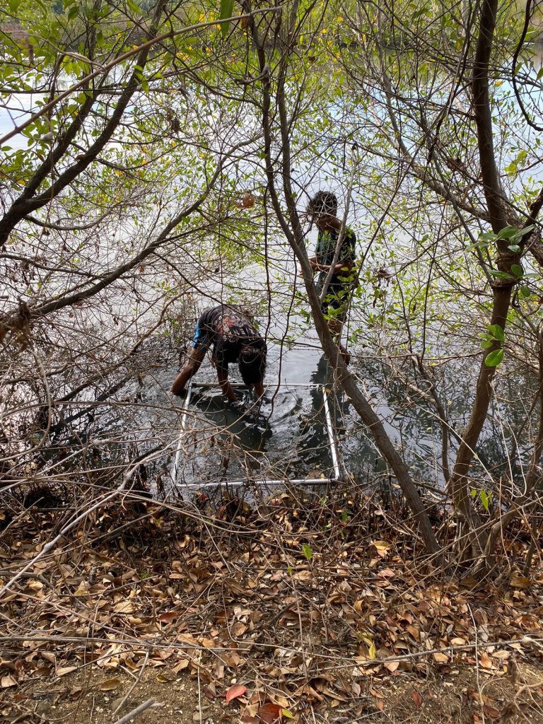 Mahasiswa Unhas Terlibat dalam Program Rehabilitasi Mangrove dan Ketahanan Pangan Pesisir bersama Blue Forests 5