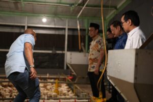 Rektor Unhas Sambut Kunjungan Duta Besar Thailand, Perkuat Kerja Sama Strategis Peternakan Berbasis Inovasi