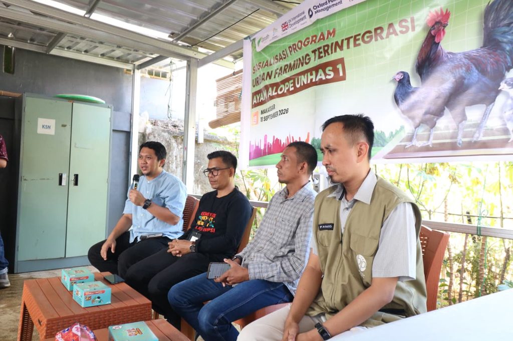 Fapet Unhas dukung SDGs lewat Ayam Alope Unhas 1 dalam bentuk Urban Farming di Kota Makassar 1